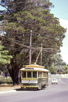 Digital Image - first day - tram 27 Carlton St