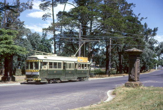 Digital Image - first public day - tram 38 Carlton St