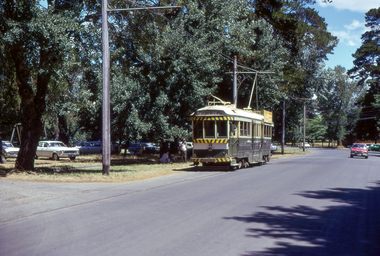 Digital Image - first public day - tram 38 Wendouree Parade