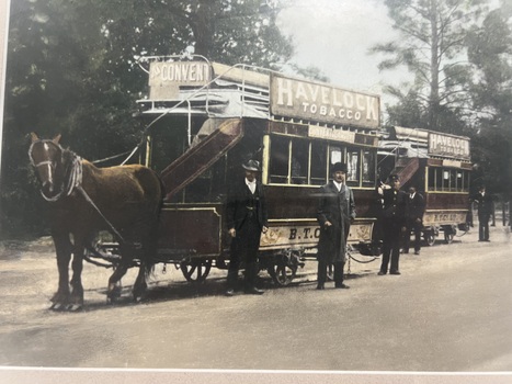 Horse trams - ESCo line up Wendouree Parade - part