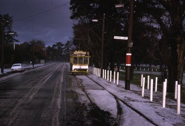 Tram 31 Wendouree Parade