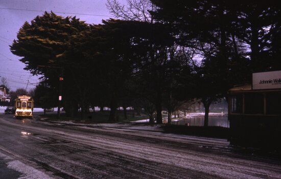 Trams 12 and 31 Haddon St loop