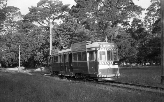 Tram 40 on the access track.