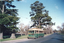 Tram 18 at Carlton St.