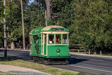 Photograph - Scrubber tram No. 8 Wendouree Parade, Benjamin Boehle-Mitchell, 19/1/2025