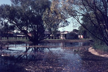 Slide - SECV Ballarat tram 21 Gardens and Lake Wendouree, Graeme Cleak, 5-4-1969