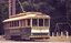 Tram 18 Wendouree Parade