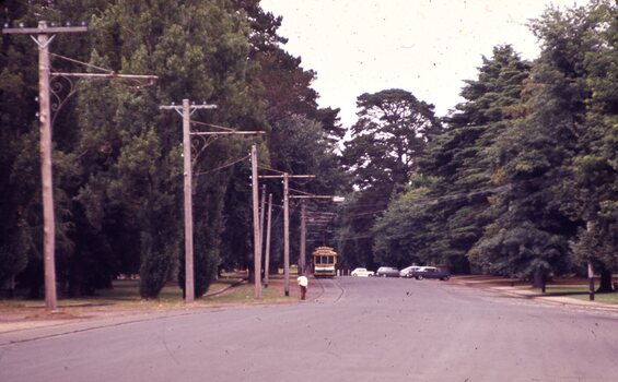 Wendouree Parade near old Gardens South Loop