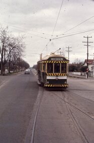 Tram 39, Urquhart St Loop