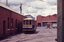 Bendigo scrubber in the yard.