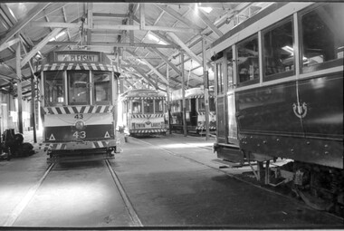 Photograph - SECV Ballarat 43 and tram 14 inside depot, Mal Rowe, 31/12/1968