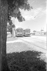 SECV Trams 42 & 37 Grey St loop