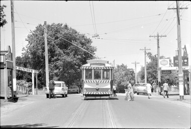 SECV Ballarat 28 at Mt Pleasant.