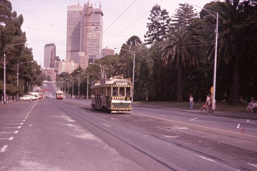 Tram 40 Wellington Parade
