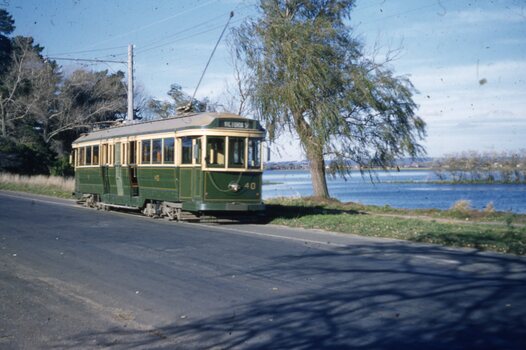 Tram 40 Wendouree Parade