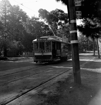 SECV Ballarat 12 at Gardens Loop