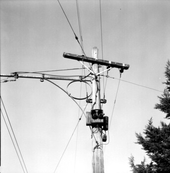 Forest City light signal.
