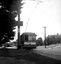 31 westbound in Wendouree Pde at Haddon St.
