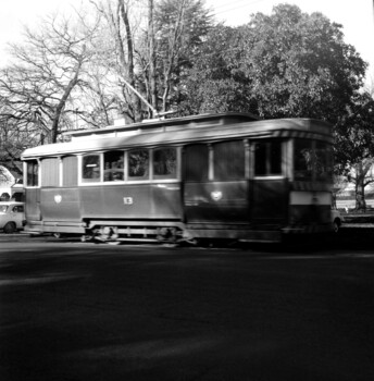 13 speeding through the gardens.