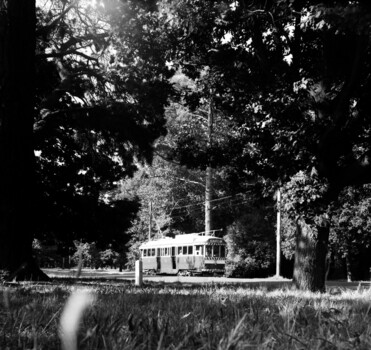 38 trundling through the gardens.
