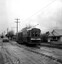 39 runs through a puddle, outbound in Albert St, Sebastopol.
