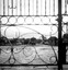 42 through the cemetery gates