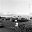 SECV Ballarat - trams 30, 31 and 32 stored at Ballarat B power station - 1 of 2