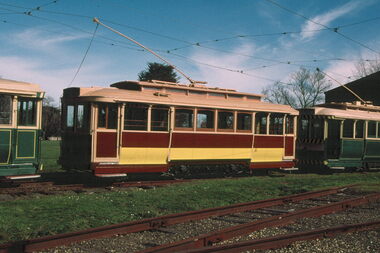 trams 13, 28 and 18 Ballarat on the depot fan