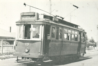 SECV Geelong tram 19 at Belmont