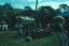 BTPS 10th Anniversary of Ballarat Tram closure - 1
