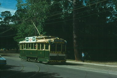 BTPS - tram 14 as Christmas tram in Wendouree Parade - 1