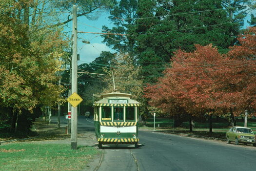 BTPS - tram operations - tram 27 autumn - 2