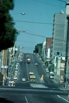 A steep, busy street lined with buildings and trees, with multiple trams and cars traveling up and down the incline under a clear blue sky.