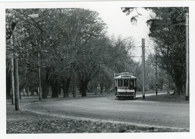 Photograph - Ballarat Tram 23, Tram 23 travelling around  Wendouree Lake
