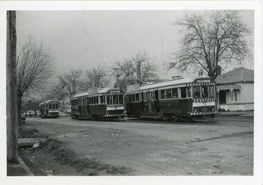 Photograph - Ballarat Tram 43, Ballarat Tram 43 in Drummond Street South