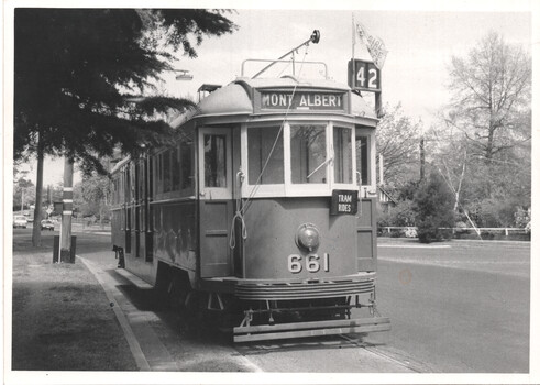 A vintage tram numbered 661 with "MONT ALBERT" and "TRAM RIDES" signs is on tracks beside a tree-lined street.
