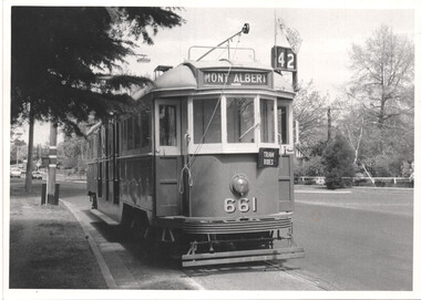 A vintage tram numbered 661 with "MONT ALBERT" and "TRAM RIDES" signs is on tracks beside a tree-lined street.