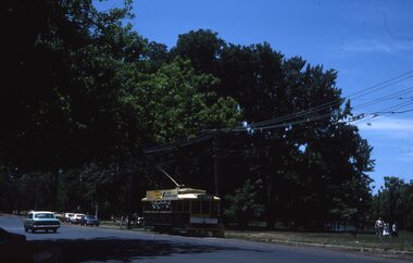 A green and yellow tramcar with advertising banners on top sits on a street next to a park. Overhead wires stretch across the scene, supported by poles.
