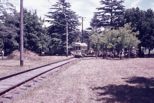 An antique tram travels on a track through a grassy park with tall trees. People are gathered near the tram and in the background.