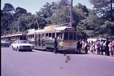 A line of green trams with open windows and passengers inside are parked on a street, with a crowd of people standing on the footpath watching an opening ceremony and tram breaking a yellow banner. A white car is driving past the trams.