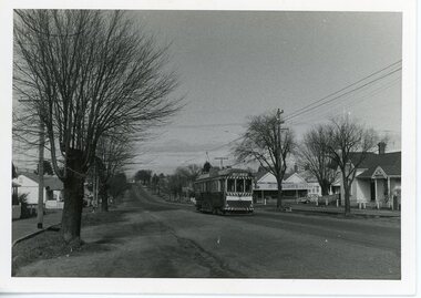Photograph - Ballarat Tram - 36, Ballarat Tram 36: In Drummond Street near the Urqhuart Street shop, 1971