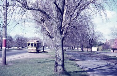 A vintage tram with "TWIN LAKES" signage travels down a tree-lined street with bare branches casting shadows.