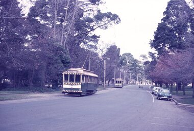 A vintage green and cream tram with overhead power lines travels down a tree-lined street, with a second tram visible in the distance.