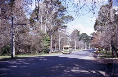 Photograph - Ballarat Tram, Tram in Wendouree Parade, 11 August 1971