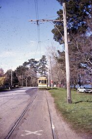 Photograph - Ballarat Tram 21, Tram waiting at the Depot Loop, Wendouree Parade, 22 August 1971