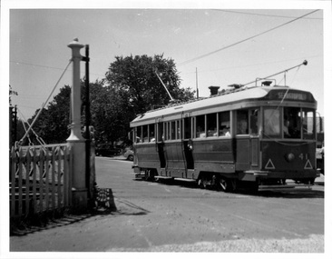 Photograph - Ballarat Tram 41