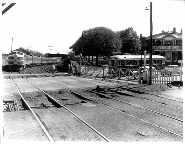 Photograph - Ballarat Tram 41