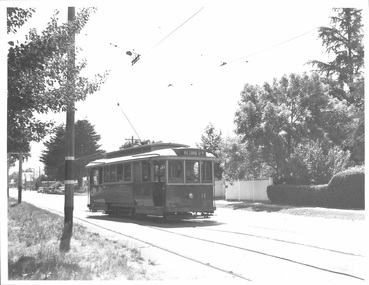 Photograph - Ballarat Tram 11