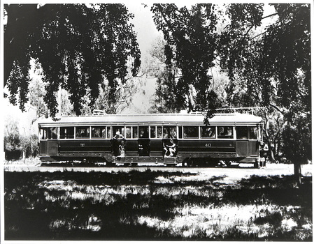 A vintage, long, double-door tram with passengers visible through the windows, stands on a track bordered by trees and foliage.