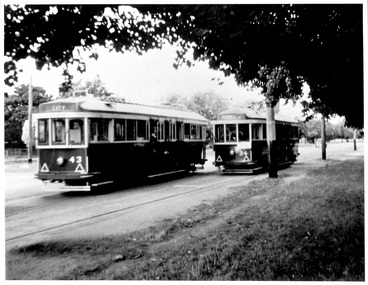 Two vintage trams, one labeled "CITY" and numbered "42", travel along a street bordered by trees.   The second car is numbered 34.